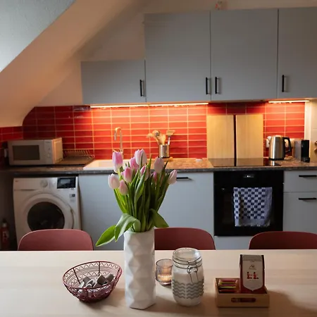 Big Flat With Fresh Renovation, Free Parking, Sonyps, Netflix Apartment *